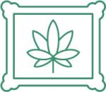 как хранить семена