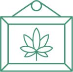 сколько хранить семена конопли