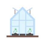 как вырастить хороший урожай марихуаны