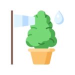 урожай канабиса