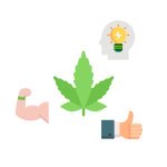 в каких странах можно выращивать коноплю