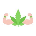 хорошие семена конопли