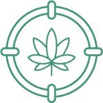 выбираем семена сорта