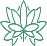 выращивание конопли на улице