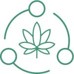 выращивание конопли под лампами