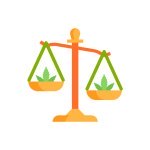 выращивание конопли статья ук рф