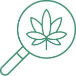 семена конопли законно