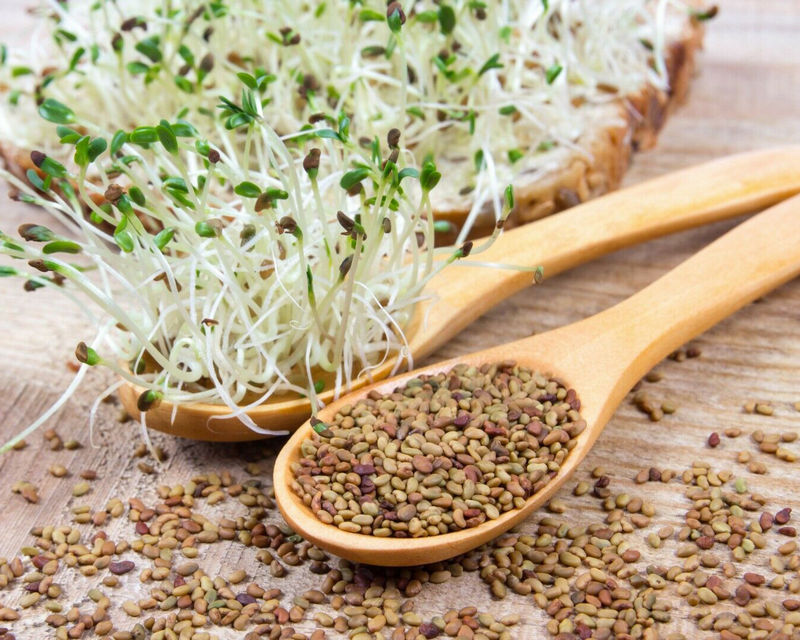 Что такое семена Микс?