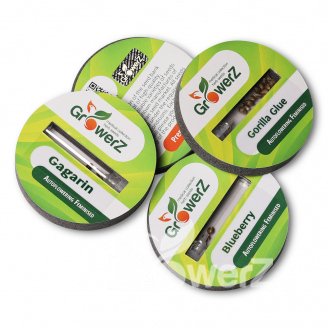 Семена конопли сорта Cream Caramel Auto Fem.